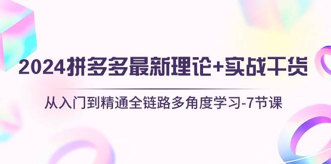 2024拼多多 最新理论+实战干货，从入门到精通全链路多角度学习-7节课-飞鱼网创