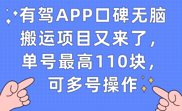 有驾APP口碑无脑搬运项目又来了，单号最高110块，可多号操作-飞鱼网创