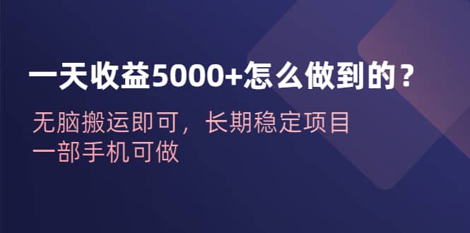 一天收益5000+怎么做到的？无脑搬运即可，长期稳定项目，一部手机可做-飞鱼网创