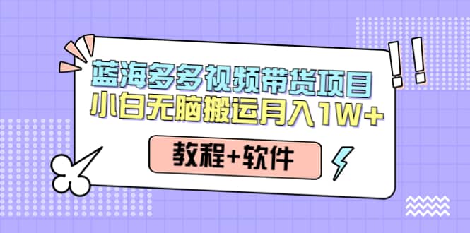 人人都能操作的蓝海多多视频带货项目 小白无脑搬运（教程+软件）-飞鱼网创