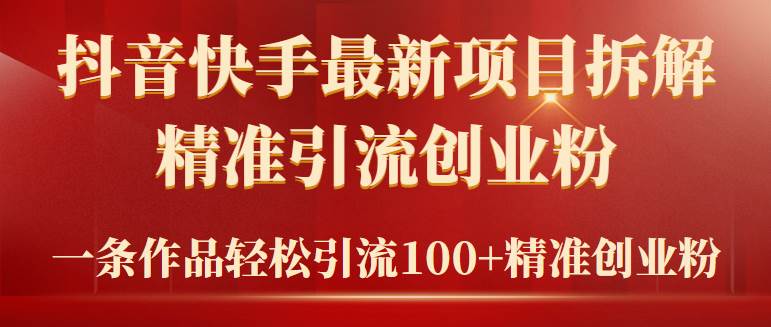 2024年抖音快手最新项目拆解视频引流创业粉，一天轻松引流精准创业粉100+-飞鱼网创