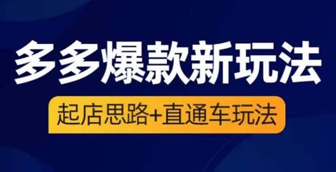 2023拼多多爆款·新玩法：起店思路+直通车玩法（3节精华课）-飞鱼网创