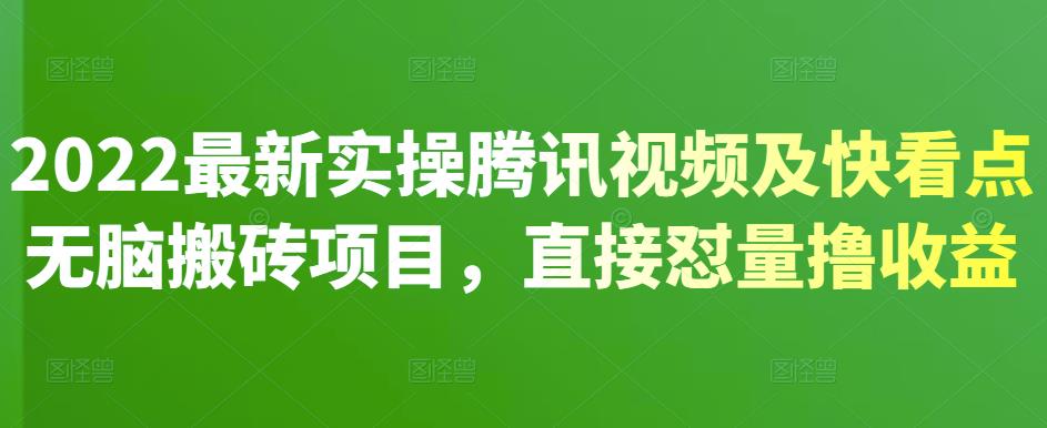 2022最新实操腾讯视频及快看点无脑搬砖项目，直接怼量撸收益-飞鱼网创