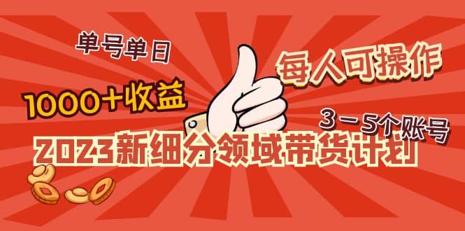 2023新细分领域带货计划：单号单日1000+收益不难，每人可操作3-5个账号-飞鱼网创