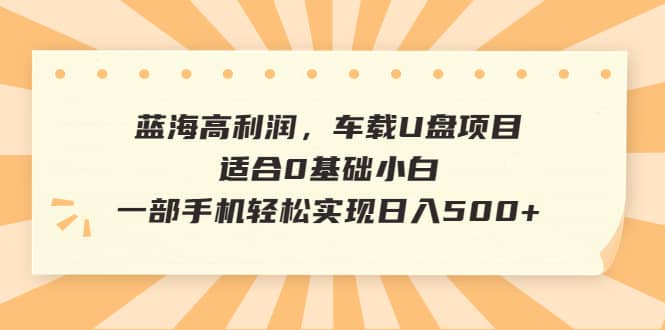 蓝海高利润，车载U盘项目，适合0基础小白，一部手机轻松实现日入500+-飞鱼网创