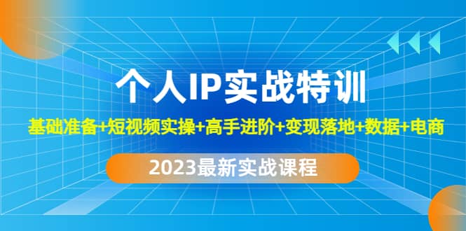 2023个人IP实战特训：基础准备+短视频实操+高手进阶+变现落地+数据+电商-飞鱼网创