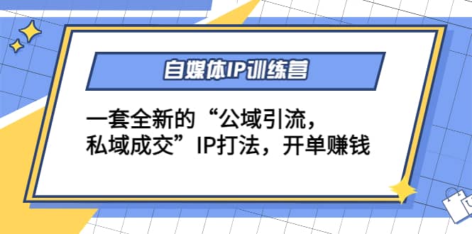 自媒体IP训练营(12+13期)一套全新的“公域引流，私域成交”IP打法-飞鱼网创