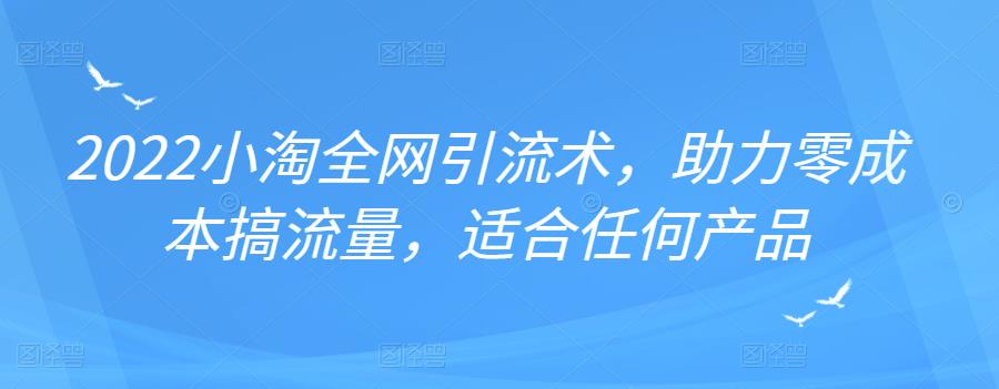 2022年小淘全网引流术，助力零成本搞流量，适合任何产品-飞鱼网创