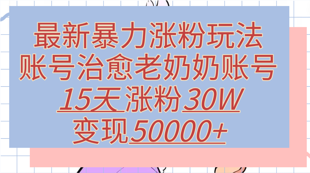 最新暴力涨粉玩法，治愈老奶奶账号，15天涨粉30W，变现50000+【揭秘】-飞鱼网创