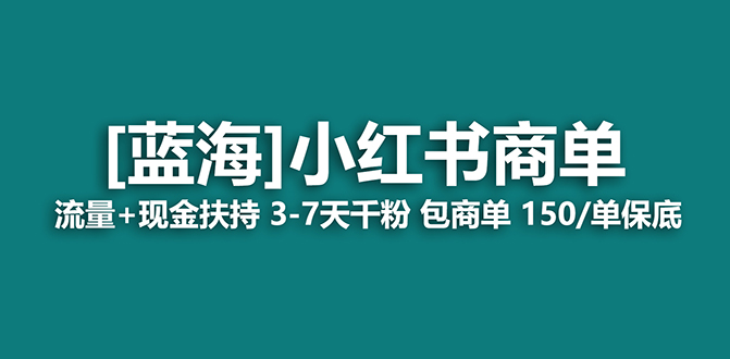 【蓝海项目】小红书商单项目，7天就能接广告变现，稳定一天500+保姆级玩法-飞鱼网创