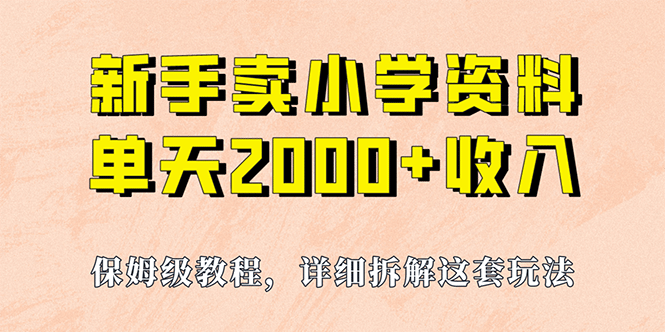 我如何通过卖小学资料，实现单天2000+，实操项目，保姆级教程+资料+工具-飞鱼网创