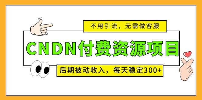 CNDN付费资源项目，不用引流，无需做客服，后期被动收入-飞鱼网创