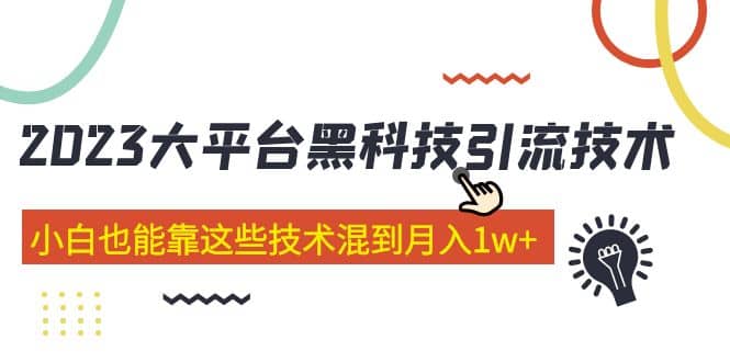 价值4899的2023大平台黑科技引流技术 29节课-飞鱼网创