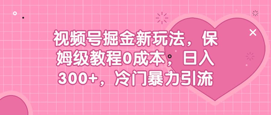 视频号掘金新玩法，保姆级教程0成本，日入300+，冷门暴力引流-飞鱼网创