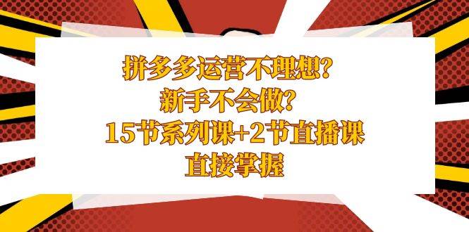 拼多多运营不理想？新手不会做？15节系列课+2节直播课，直接掌握-飞鱼网创