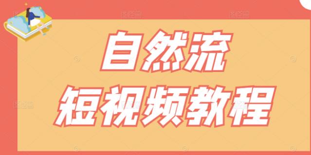 【瑶瑶短视频】自然流短视频教程，让你更快理解做自然流视频的精髓-飞鱼网创