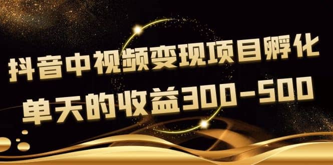 黄岛主《抖音中视频变现项目孵化》单天的收益300-500 操作简单粗暴-飞鱼网创