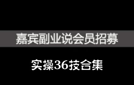 嘉宾副业说实操36技合集，价值1380元-飞鱼网创