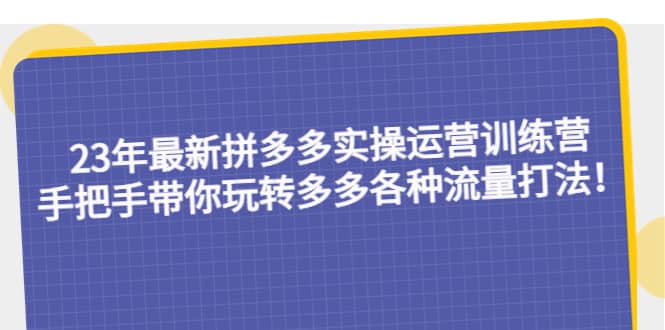 23年最新拼多多实操运营训练营：手把手带你玩转多多各种流量打法！-飞鱼网创