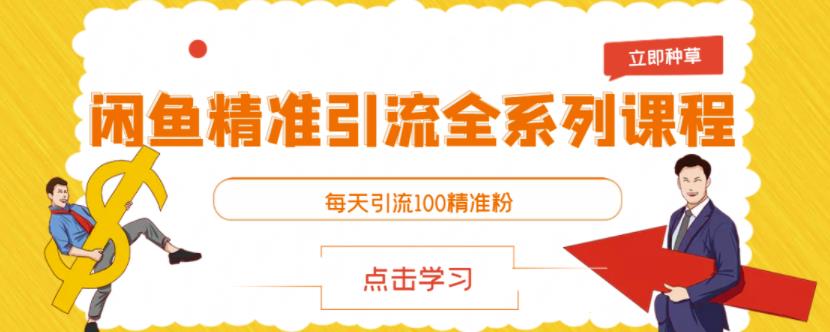 闲鱼精准引流全系列课程，每天引流100精准粉【视频课程】-飞鱼网创