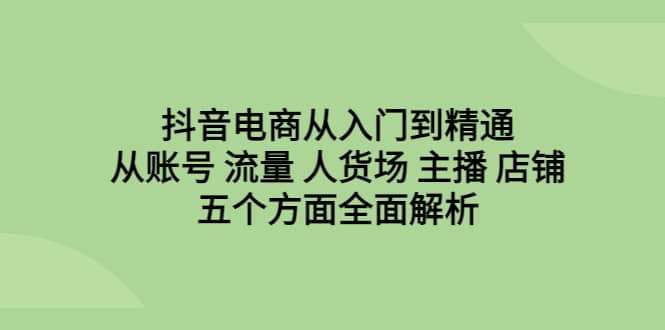 抖音电商从入门到精通，从账号 流量 人货场 主播 店铺五个方面全面解析-飞鱼网创