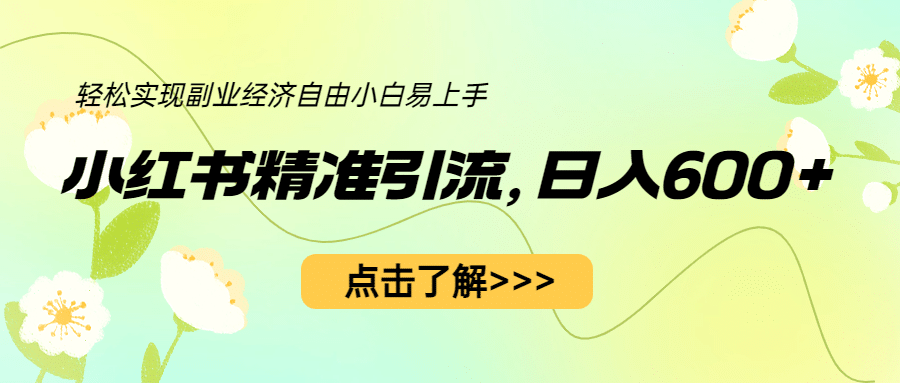 小红书精准引流，小白日入600+，轻松实现副业经济自由（教程+1153G资源）-飞鱼网创