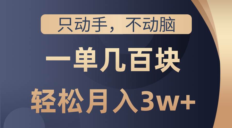 只动手不动脑，一单几百块，轻松月入3w+，看完就能直接操作，详细教程-飞鱼网创