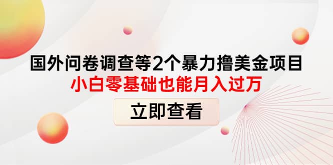 国外问卷调查等2个暴力撸美元项目，小白零基础也能月入过万-飞鱼网创