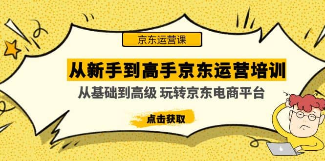 从新手到高手京东运营培训：从基础到高级 玩转京东电商平台(无水印)-飞鱼网创