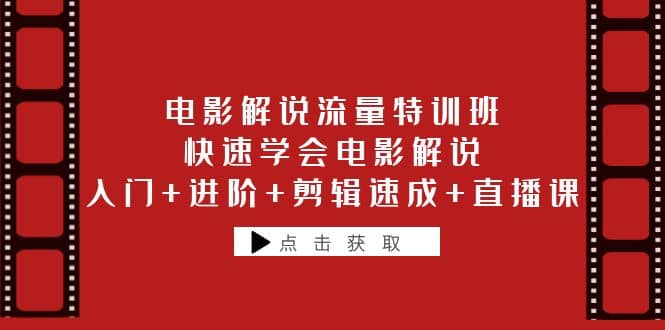 电影解说流量特训班：快速学会电影解说，入门+进阶+剪辑速成+直播课-飞鱼网创