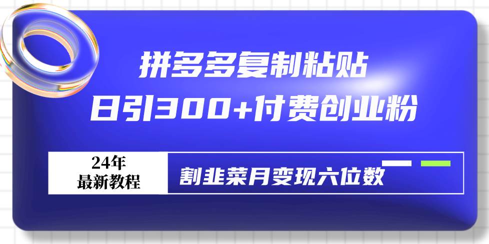 拼多多复制粘贴日引300+付费创业粉，割韭菜月变现六位数最新教程！-飞鱼网创