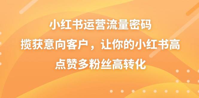 小红书运营流量密码，揽获意向客户，让你的小红书高点赞多粉丝高转化-飞鱼网创