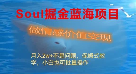 Soul掘金蓝海项目细分赛道，做情感价值变现，月入2w+不是问题-飞鱼网创