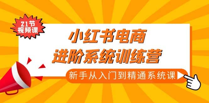 小红书电商进阶系统训练营：新手从入门到精通系统课（21节视频课）-飞鱼网创