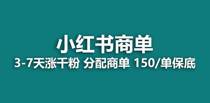 【蓝海项目】2023最强蓝海项目，小红书商单项目，没有之一！-飞鱼网创