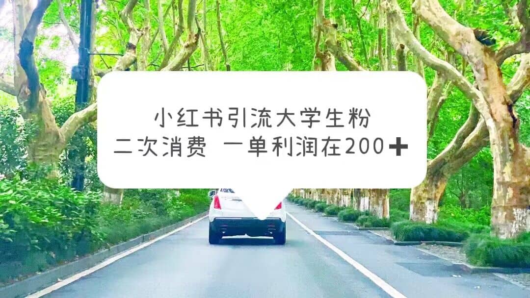 小红书引流大学生粉，变现项目，一单利润在200+（教程+资源）-飞鱼网创