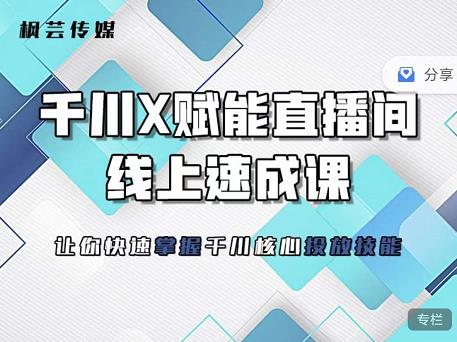 枫芸传媒-线上千川提升课，提升千川认知，提升千川投放效果-飞鱼网创