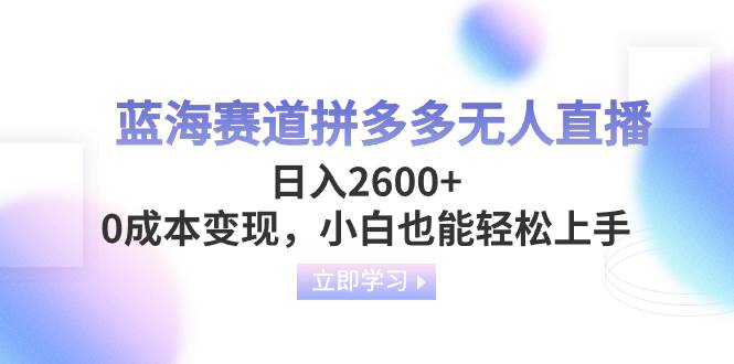 蓝海赛道拼多多无人直播，日入2600+，0成本变现，小白也能轻松上手-飞鱼网创