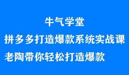 牛气学堂拼多多打造爆款系统实战课，老陶带你轻松打造爆款-飞鱼网创