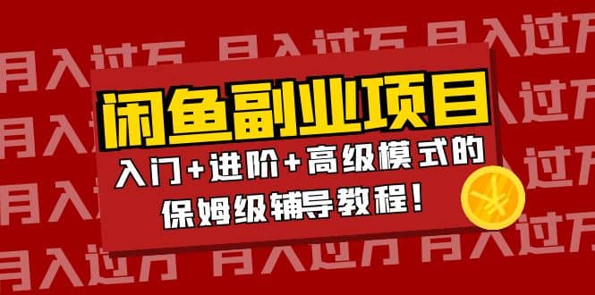 月入过万闲鱼副业项目：入门+进阶+高级模式的保姆级辅导教程-飞鱼网创