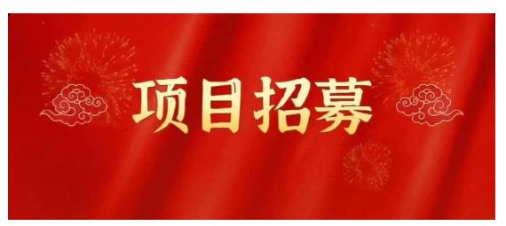 高鹏圈·蓝海中视频项目，长期项目，可以说字节不倒，项目就可以一直做！-飞鱼网创