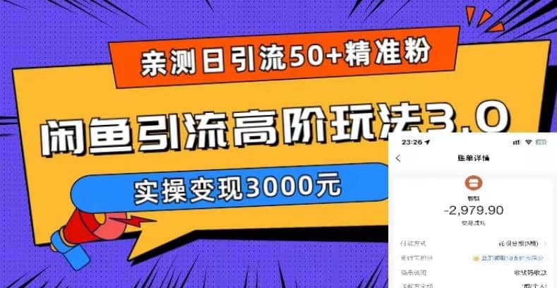 实测日引50+精准粉，闲鱼引流高阶玩法3.0，实操变现3000元-飞鱼网创