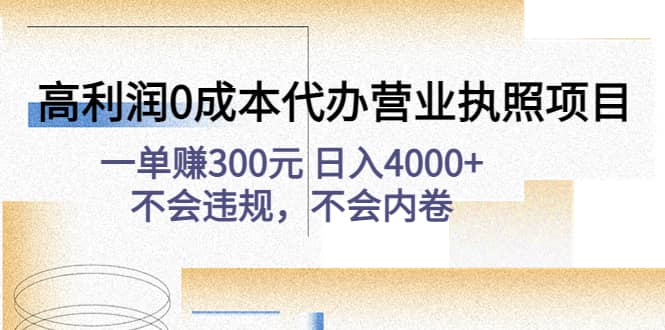 高利润0成本代办营业执照项目：不会违规，不会内卷-飞鱼网创