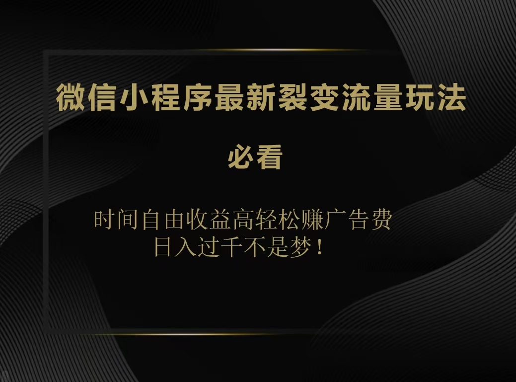 微信小程序最新裂变流量玩法，时间自由收益高轻松赚广告费，日入200-500+-飞鱼网创