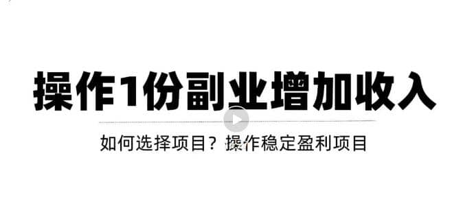 新手如何通过操作副业增加收入，从项目选择到玩法分享！【视频教程】-飞鱼网创