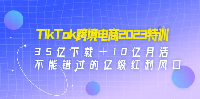 TikTok跨境电商2023特训：35亿下载＋10亿月活，不能错过的亿级红利风口-飞鱼网创