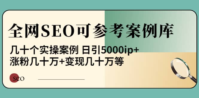 《全网SEO可参考案例库》几十个实操案例-飞鱼网创