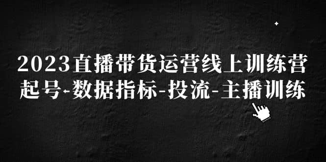 2023直播带货运营线上训练营，起号-数据指标-投流-主播训练-飞鱼网创