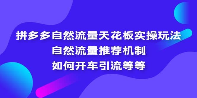 拼多多自然流量天花板实操玩法：自然流量推荐机制，如何开车引流等等-飞鱼网创