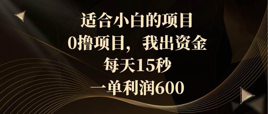 适合小白的项目，0撸项目，我出资金，每天15秒，一单利润600-飞鱼网创